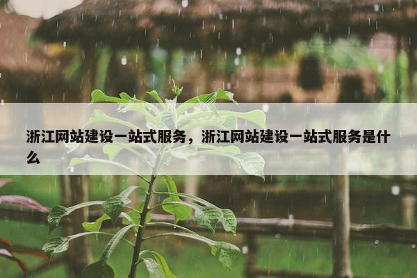 浙江网站建设一站式服务，浙江网站建设一站式服务是什么
