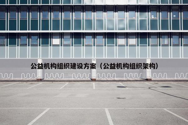 公益机构组织建设方案（公益机构组织架构）