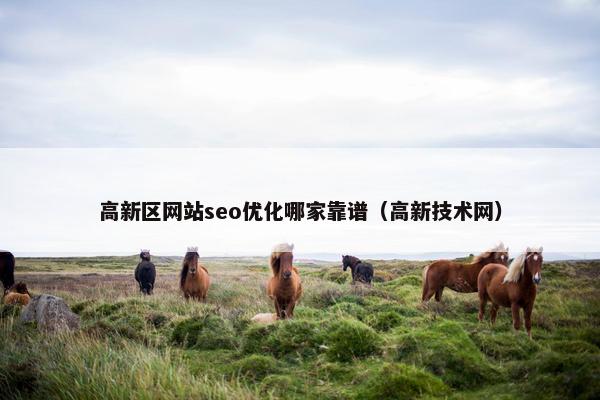 高新区网站seo优化哪家靠谱（高新技术网）
