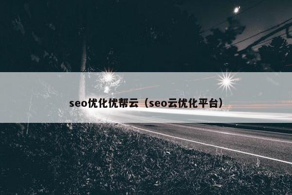 seo优化优帮云（seo云优化平台）