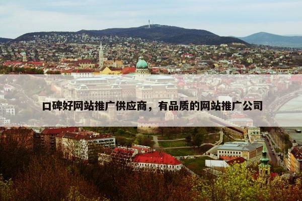口碑好网站推广供应商，有品质的网站推广公司