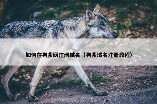 如何在狗爹网注册域名（狗爹域名注册教程）