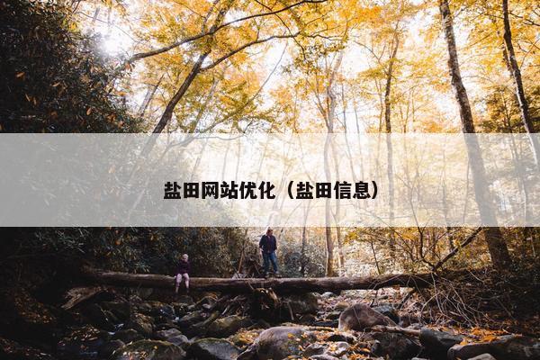 盐田网站优化（盐田信息）