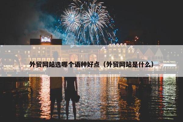外贸网站选哪个语种好点（外贸网站是什么）