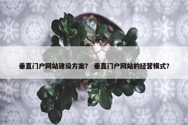 垂直门户网站建设方案？ 垂直门户网站的经营模式？