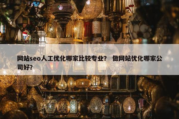 网站seo人工优化哪家比较专业？ 做网站优化哪家公司好？