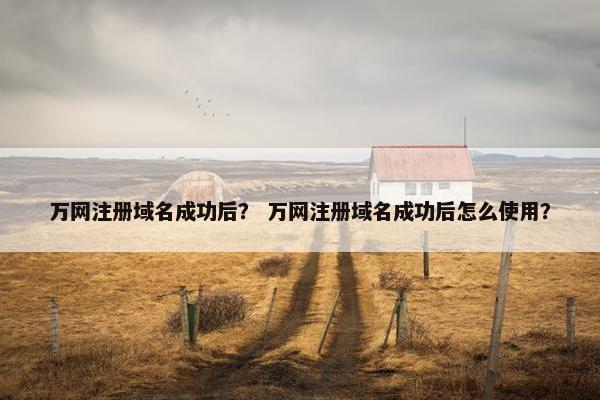 万网注册域名成功后？ 万网注册域名成功后怎么使用？