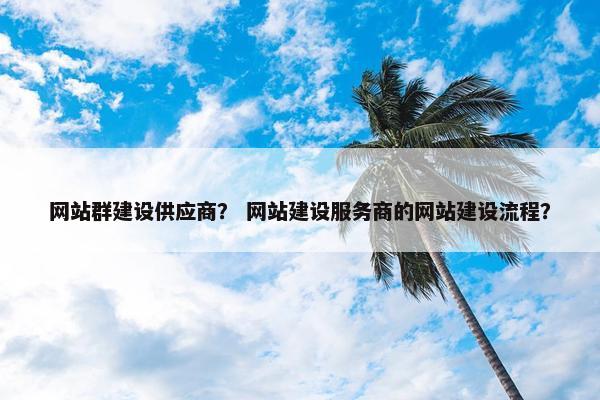 网站群建设供应商？ 网站建设服务商的网站建设流程？