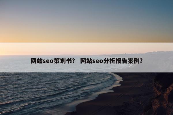 网站seo策划书？ 网站seo分析报告案例？