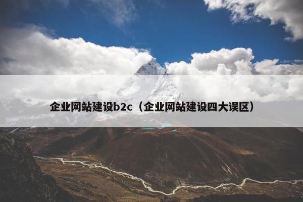 企业网站建设b2c（企业网站建设四大误区）