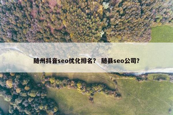 随州抖音seo优化排名？ 随县seo公司？