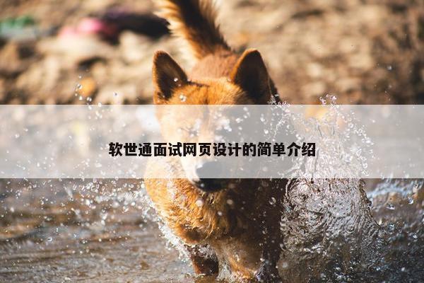 软世通面试网页设计的简单介绍