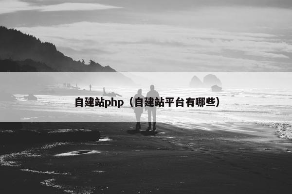 自建站php（自建站平台有哪些）
