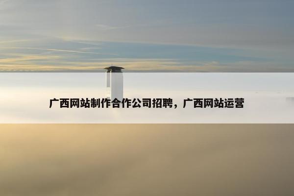 广西网站制作合作公司招聘，广西网站运营