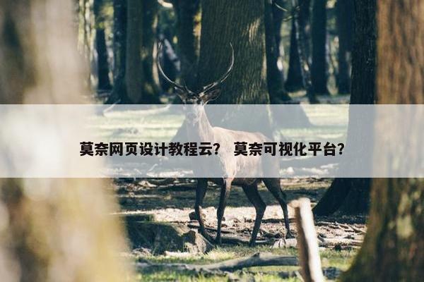 莫奈网页设计教程云？ 莫奈可视化平台？