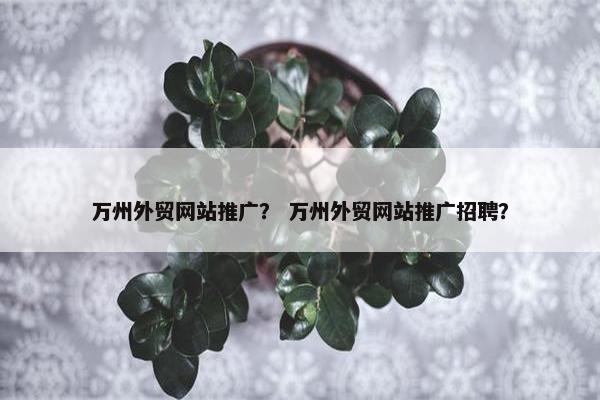 万州外贸网站推广？ 万州外贸网站推广招聘？
