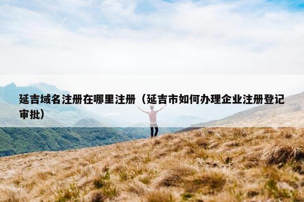 延吉域名注册在哪里注册（延吉市如何办理企业注册登记审批）