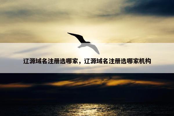辽源域名注册选哪家，辽源域名注册选哪家机构