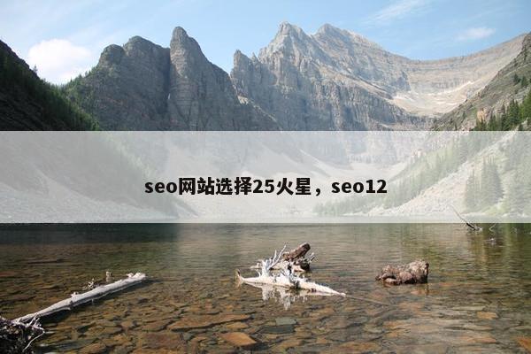 seo网站选择25火星，seo12