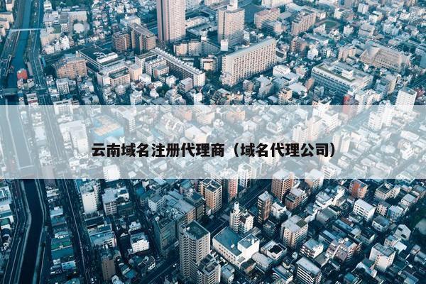 云南域名注册代理商（域名代理公司）