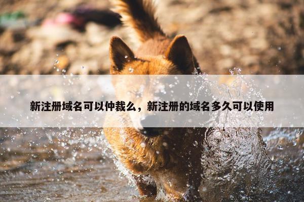 新注册域名可以仲裁么，新注册的域名多久可以使用
