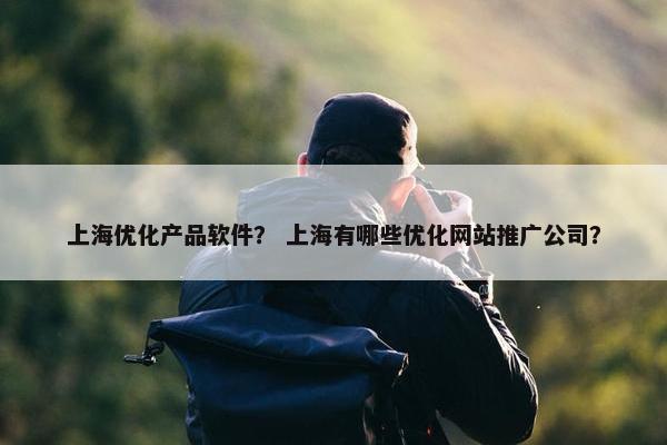 上海优化产品软件？ 上海有哪些优化网站推广公司？