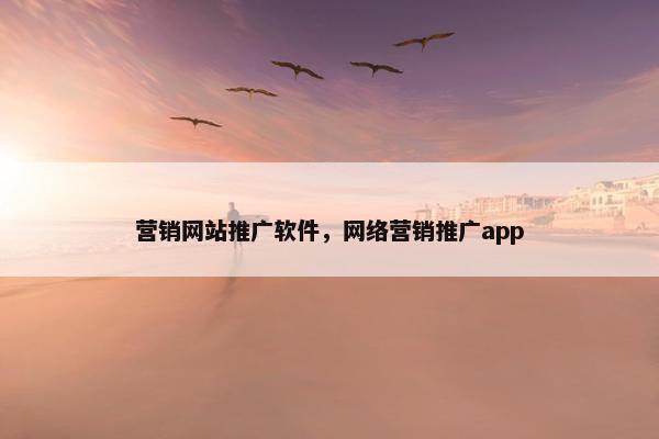 营销网站推广软件，网络营销推广app