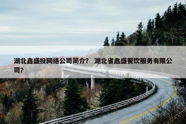 湖北鑫盛投网络公司简介？ 湖北省鑫盛餐饮服务有限公司？