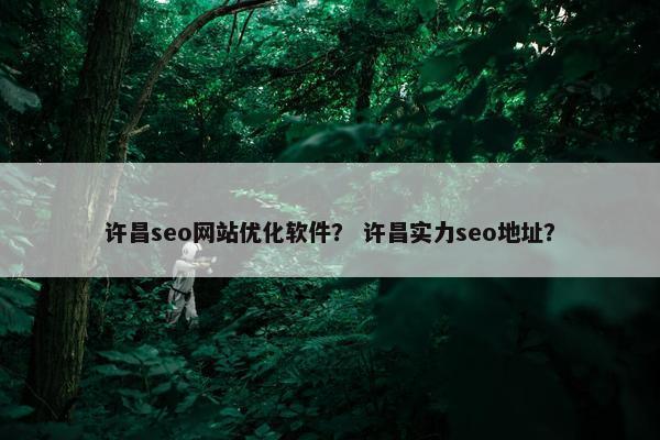 许昌seo网站优化软件？ 许昌实力seo地址？