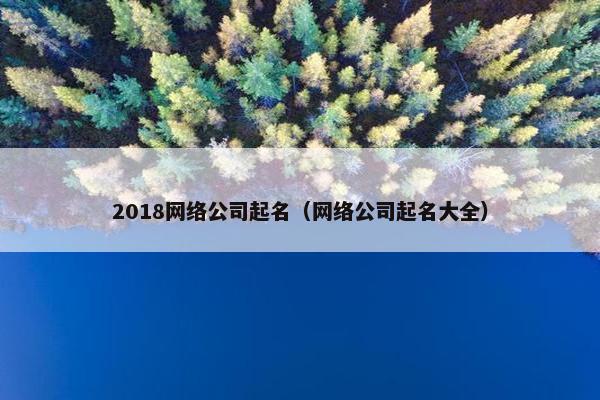 2018网络公司起名（网络公司起名大全）