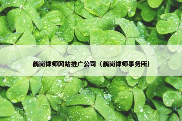 鹤岗律师网站推广公司（鹤岗律师事务所）