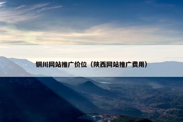 铜川网站推广价位（陕西网站推广费用）