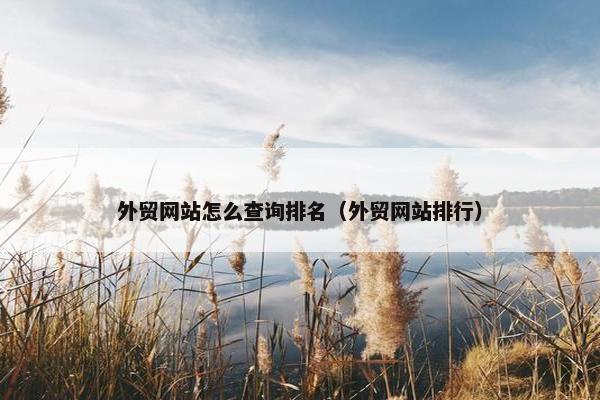 外贸网站怎么查询排名（外贸网站排行）