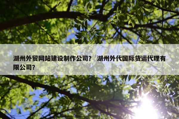 湖州外贸网站建设制作公司？ 湖州外代国际货运代理有限公司？