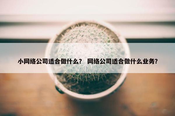 小网络公司适合做什么？ 网络公司适合做什么业务？
