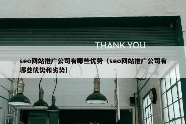 seo网站推广公司有哪些优势（seo网站推广公司有哪些优势和劣势）
