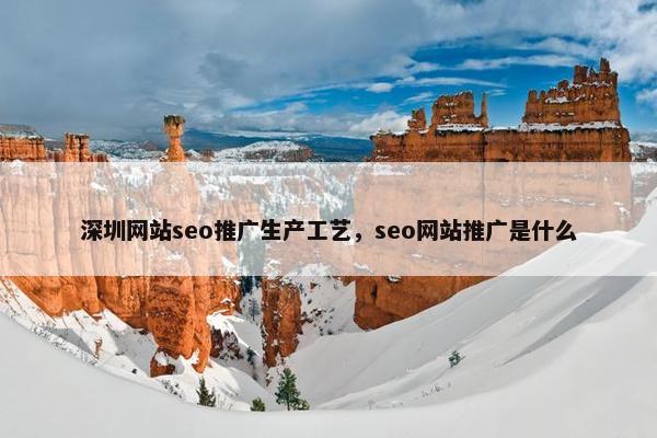 深圳网站seo推广生产工艺，seo网站推广是什么