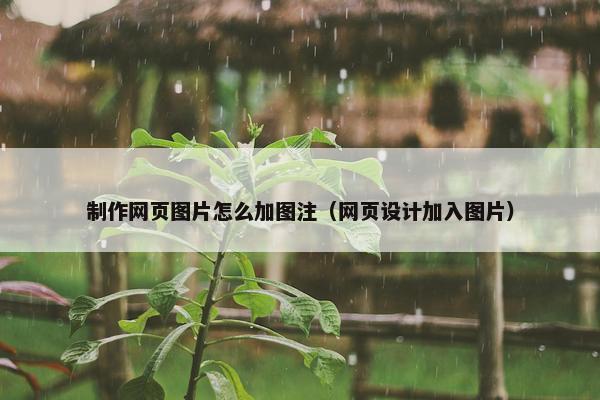 制作网页图片怎么加图注（网页设计加入图片）
