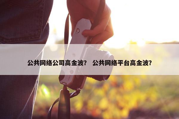 公共网络公司高金波？ 公共网络平台高金波？
