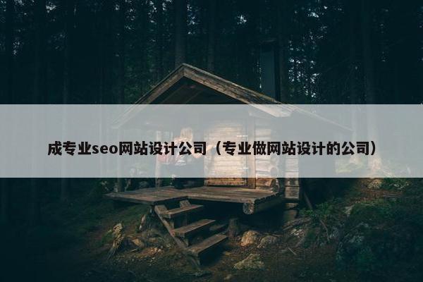 成专业seo网站设计公司（专业做网站设计的公司）