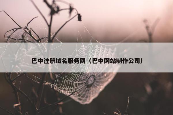 巴中注册域名服务网（巴中网站制作公司）