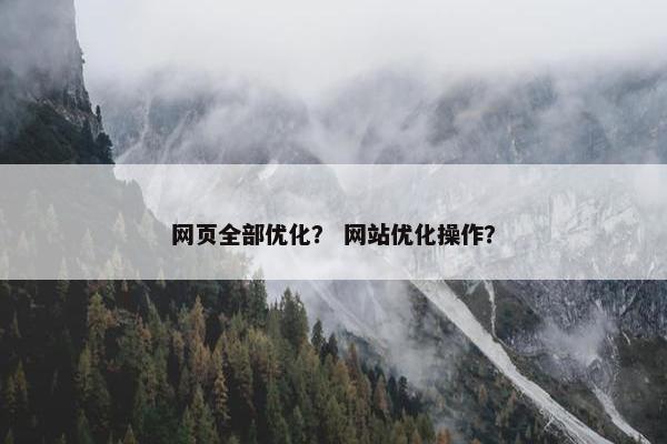 网页全部优化？ 网站优化操作？