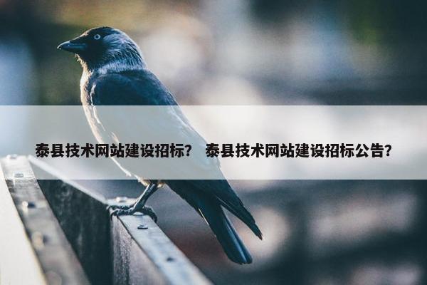 泰县技术网站建设招标？ 泰县技术网站建设招标公告？