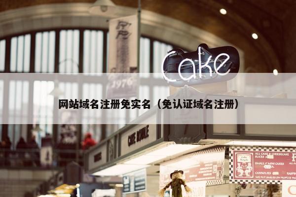 网站域名注册免实名（免认证域名注册）