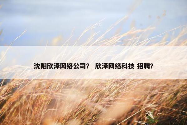 沈阳欣泽网络公司？ 欣泽网络科技 招聘？