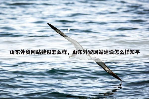 山东外贸网站建设怎么样，山东外贸网站建设怎么样知乎