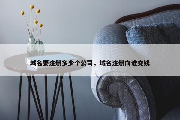 域名要注册多少个公司，域名注册向谁交钱
