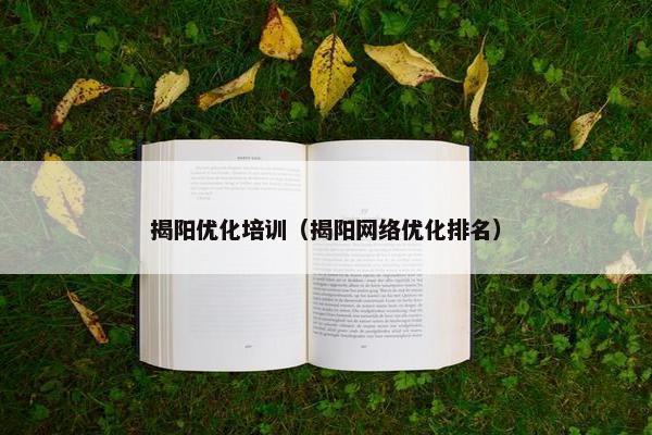 揭阳优化培训（揭阳网络优化排名）
