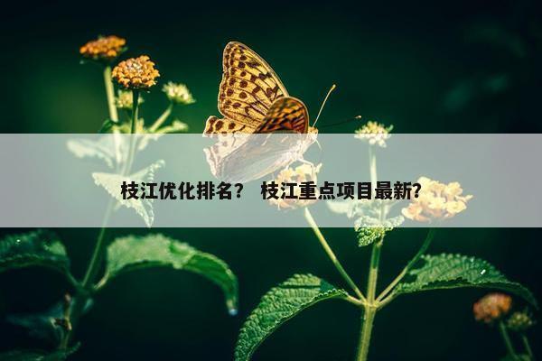 枝江优化排名？ 枝江重点项目最新？