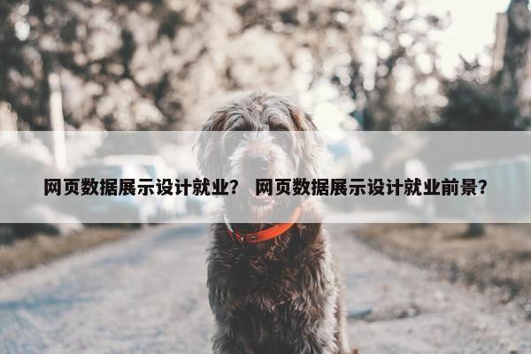 网页数据展示设计就业？ 网页数据展示设计就业前景？